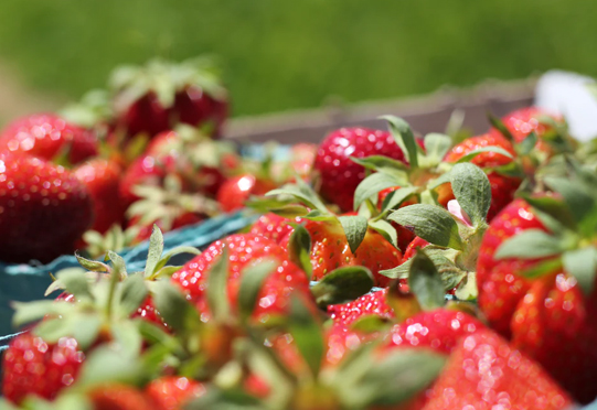 GOPAYǮ���ٷ���վ - ��ȫ��ݵ�����Ǯ�����ƶ�֧��ƽ̨