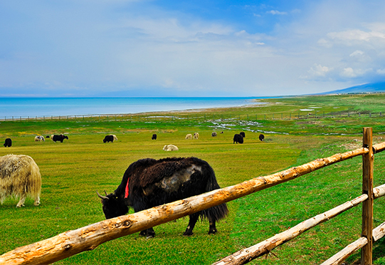 GOPAYǮ���ٷ���վ - ��ȫ��ݵ�����Ǯ�����ƶ�֧��ƽ̨