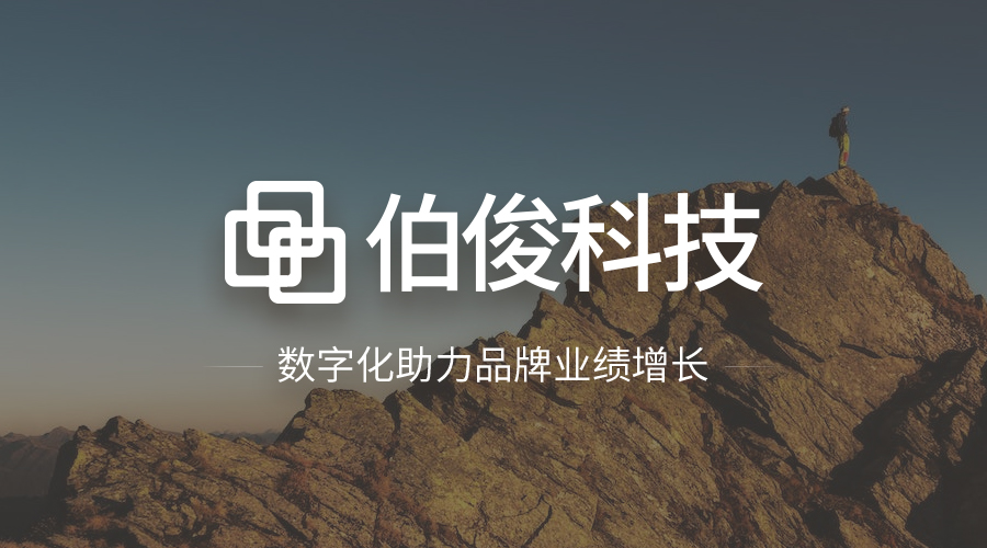 GOPAYǮ���ٷ���վERP��ά����������רҵ��ά��ģʽ